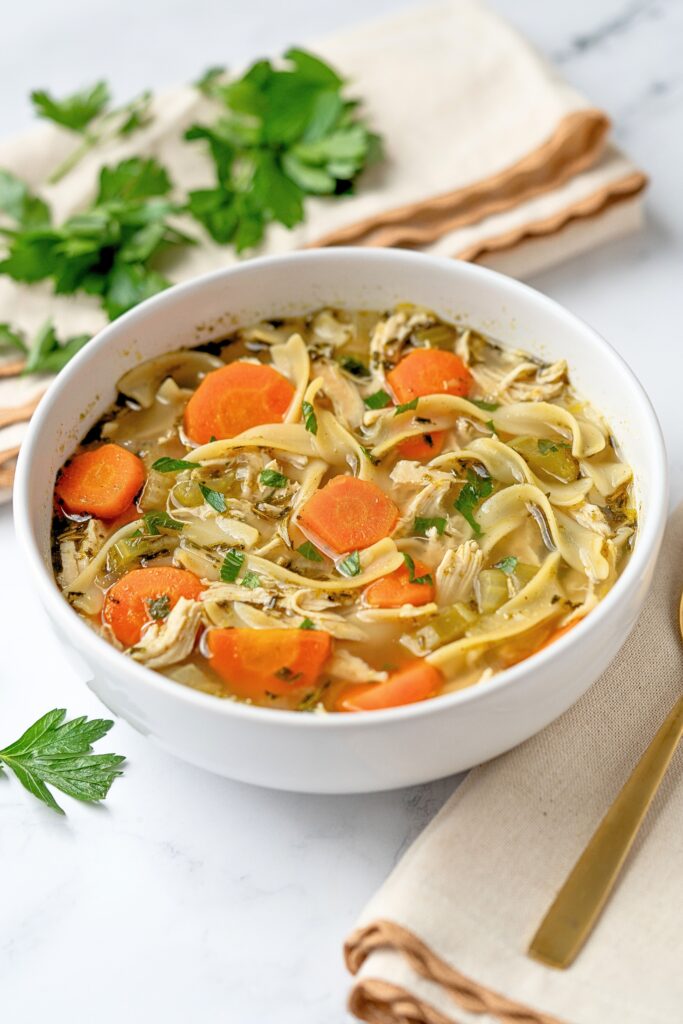 homestyle chicken noodle soup recipe