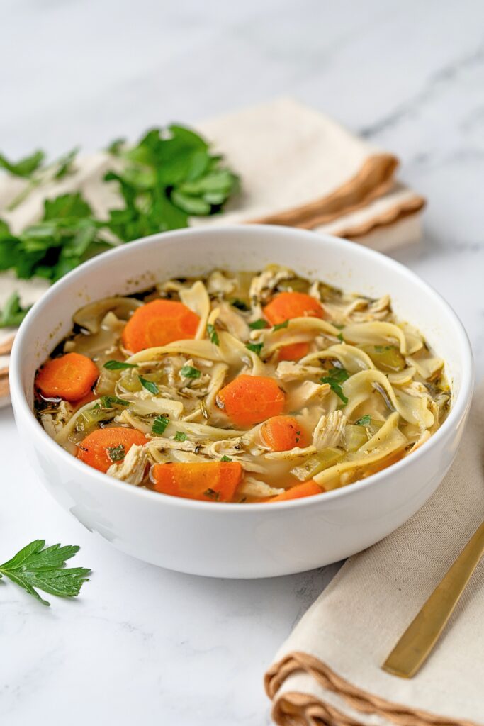 homestyle chicken noodle soup recipe
