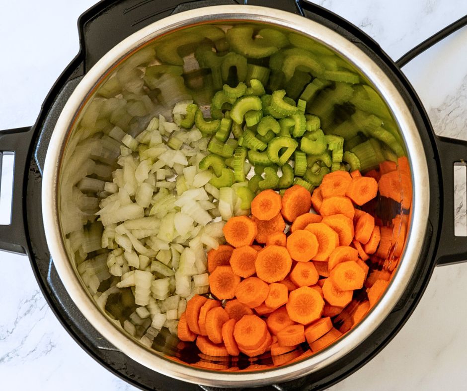 instant pot chicken noodle soup