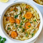 instant pot chicken noodle soup