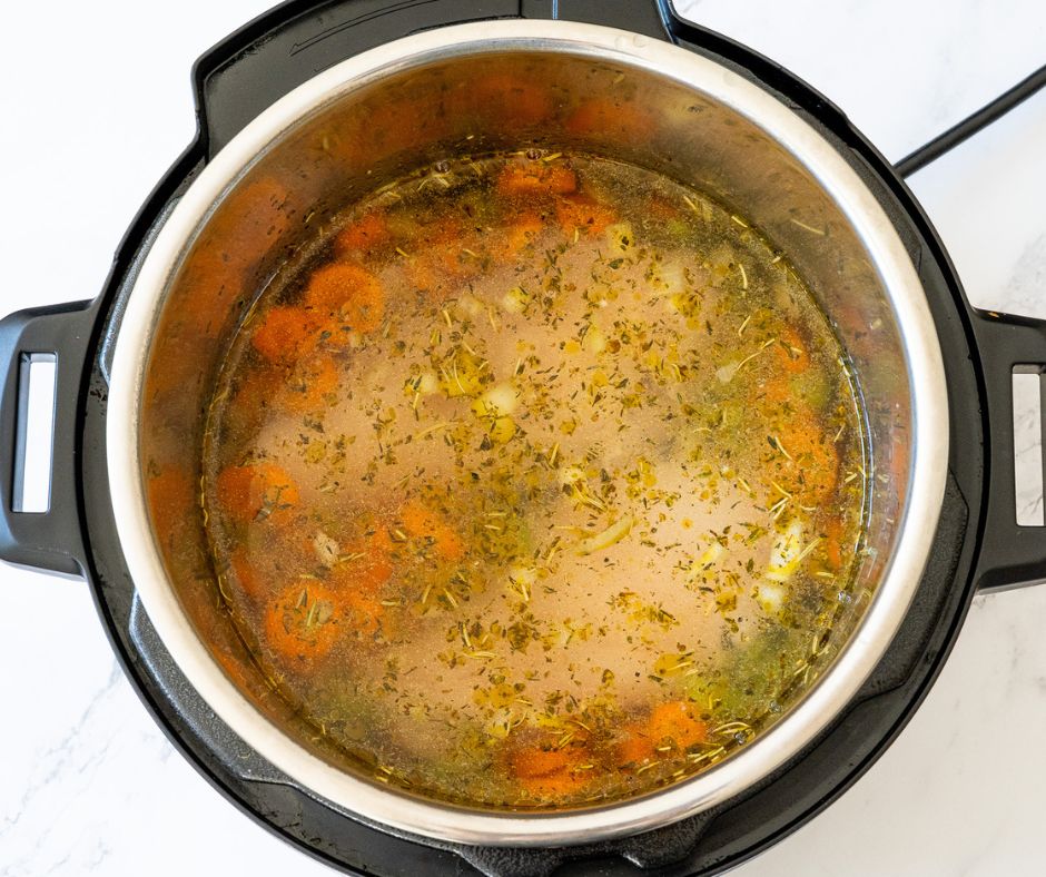 instant pot chicken noodle soup