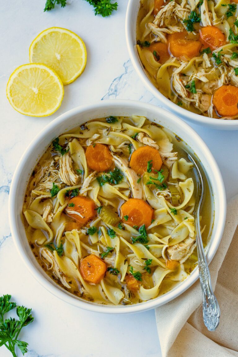 instant pot chicken noodle soup